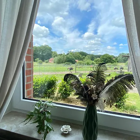 Apartamento Straussenblick Erdgeschoss - Keine Monteure Bad Fallingbostel